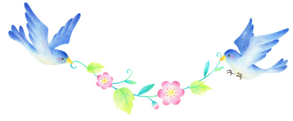 240 F Iuix5ugqnr9otlbwgzzfmrvefhougqoo 横浜市の注文住宅 大栄建設