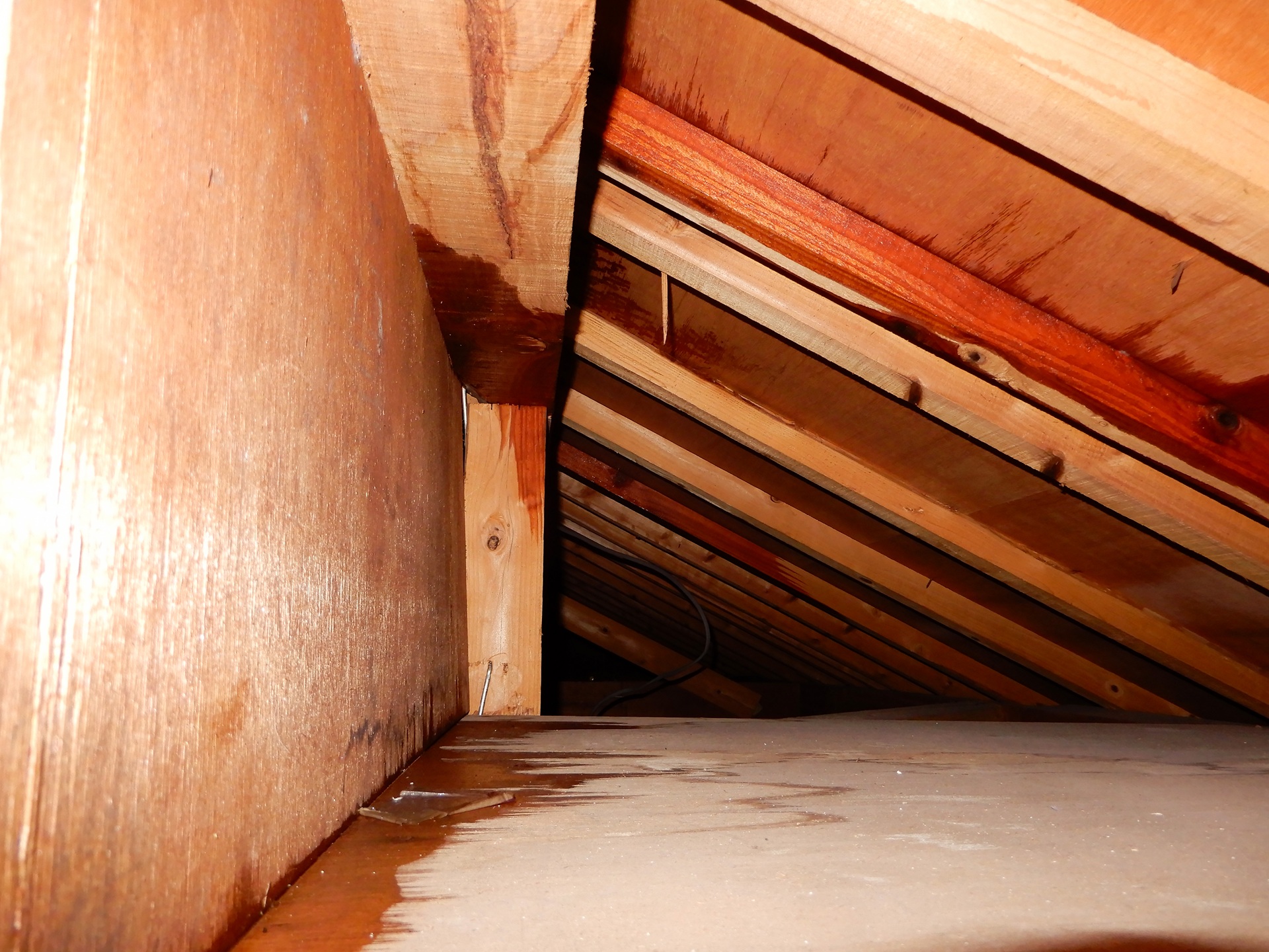 雨漏りしている屋根裏