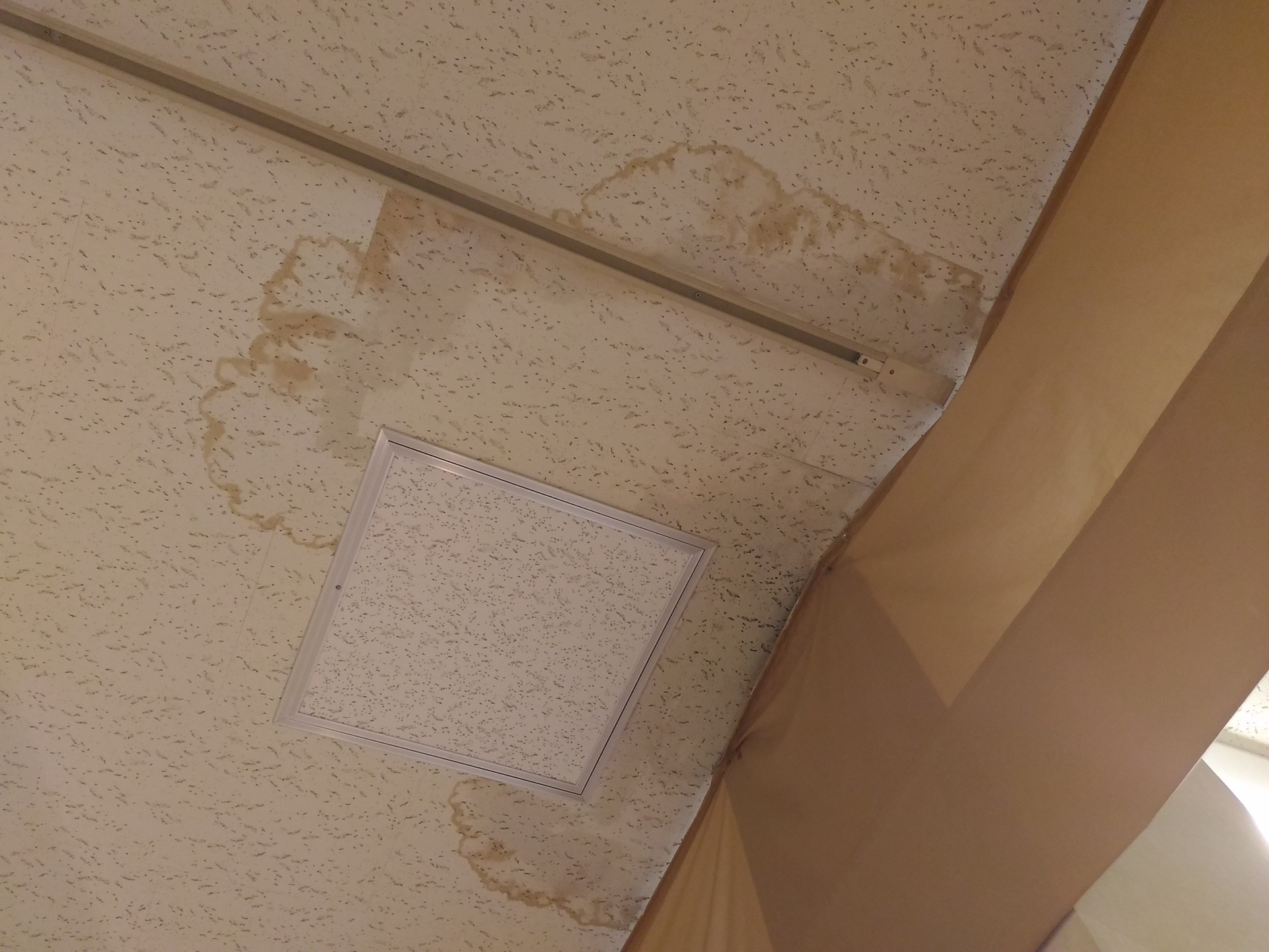 雨漏りした天井