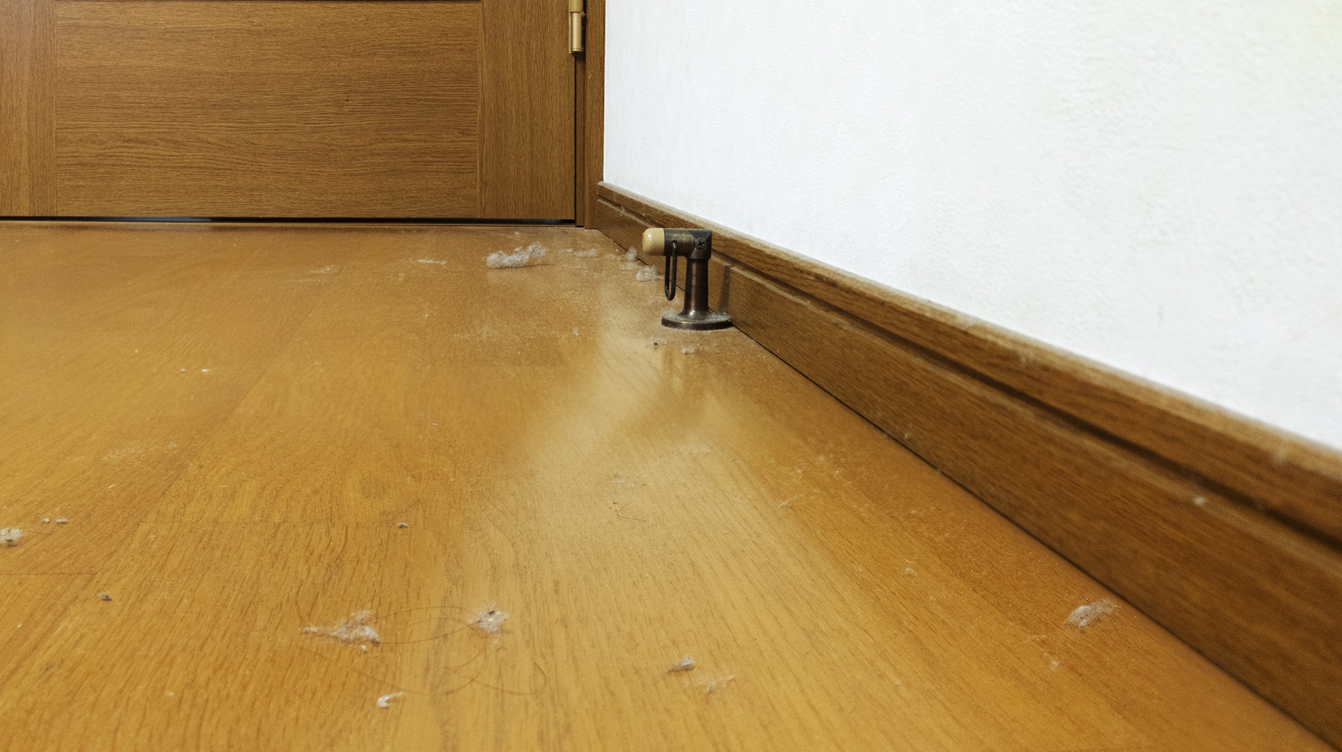 ホコリだらけの部屋